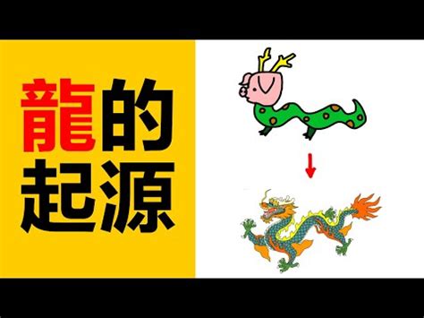 龍特徵|【龍神話】龍的傳說與生物多樣性